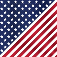 usa flag