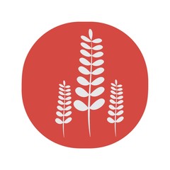 wheat