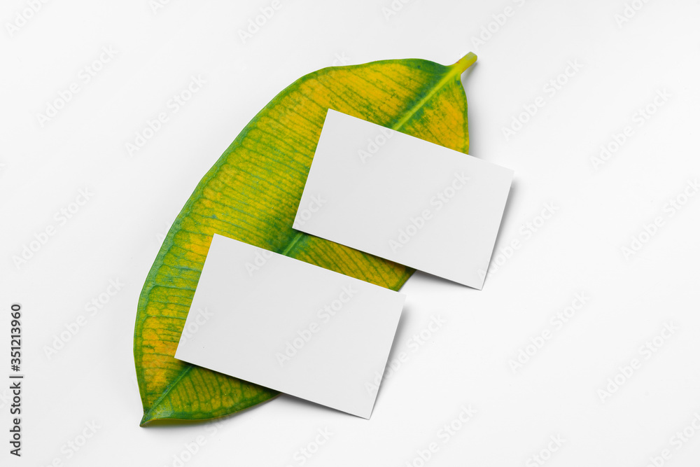 Canvas Prints Mock up paper white card on a green leaves. Nature concept.