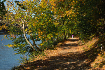 man is walking with a dog in autumn park by the river Switzerland October 2018