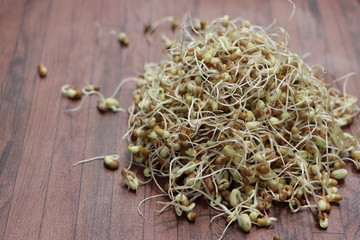 Moth bean sprouts, germinated beans, healthy diet