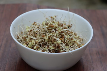 Moth bean sprouts, germinated beans, healthy diet