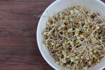 Germinated or sprauted beans in white bowl