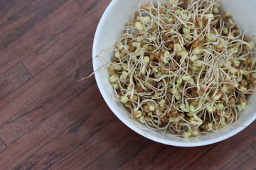 Germinated or sprauted beans in white bowl