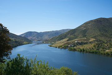 Fototapeta na wymiar Douro river wine valley region in Portugal