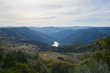 Naklejka premium Douro river wine valley region in Portugal