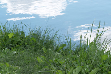 Green natural eco background