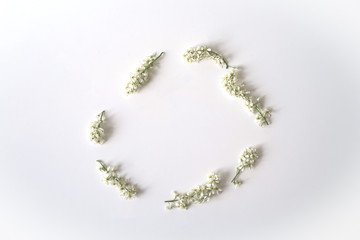 Round wreath on a white background, minimalism of white petals