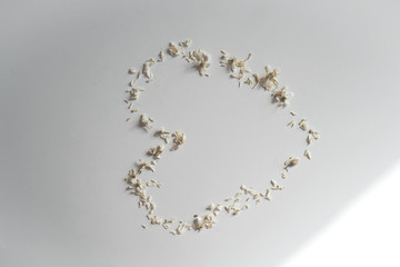 Romantic sign in the form of a heart on a white background, minimalism of white flower petals