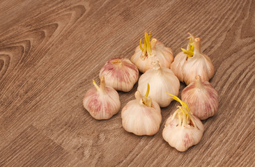 Garlic on wood.