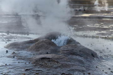 Tatio Geysers early morning at San Pedro de Atacama, Antofagasta 
