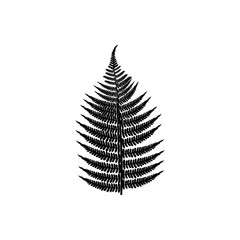 fern icon