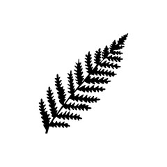 fern icon
