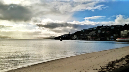 The Beach in New Zealand