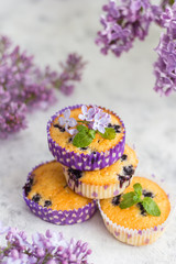 Blueberry muffins in multi-colored baskets on a lilac background