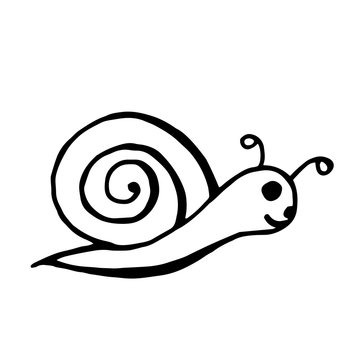 Funny snail sketch for your design. Hand drawn flat mollusk. Vector illustration. Element for coloring book.