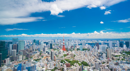 Fototapeta na wymiar 東京風景　タイムラプス　六本木から望む 東京タワーと湾岸エリア　夏　2019年