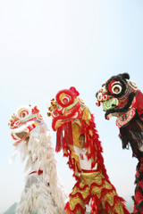 Performers in three different lion costumes