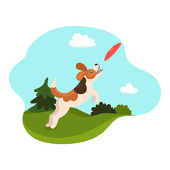 Dog catches plate in the meadow. Vector graphics.