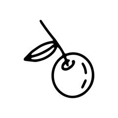 Cherry in doodle hand drawn style. Fruit on an isolated white background. Stock vector illustration.
