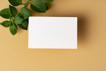 Blank white business card with copy space for your design