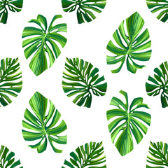 Jungle digital pattern with monstera palm leaves on white background. Seamless summer tropical fabric design. Hand drawn illustration