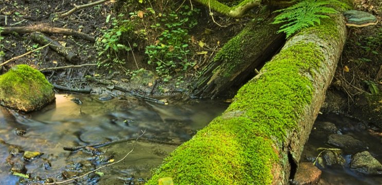 Strumień i kamienie piękne kaskady