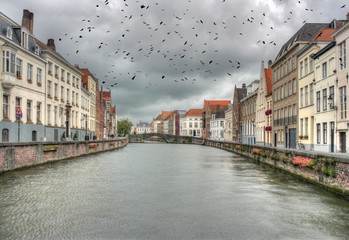Brugge, Belgium. Black birds over city.