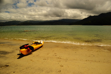 Obraz premium The Beach in New Zealand