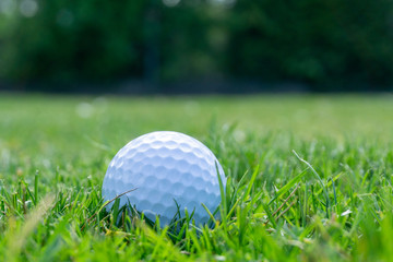 golf ball on green