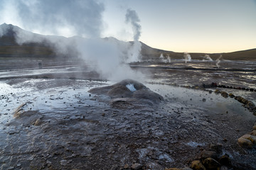 Tatio Geysers early morning at San Pedro de Atacama, Antofagasta 