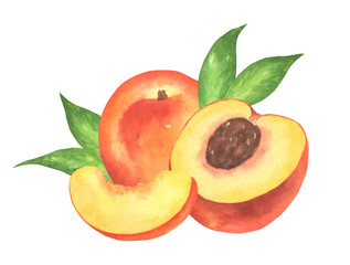 Watercolor Peach Composition