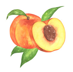 Watercolor Peach Composition