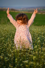 Naklejka na ściany i meble Cute Toddler Girl in a Meadow with Blooming Spring Flowers at Sunset 
