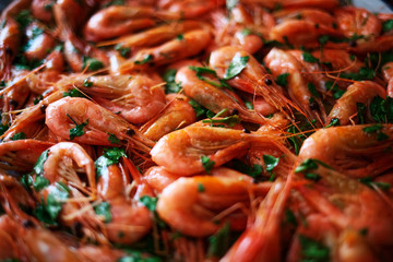 Fresh boiled prawns with coriander. A delicious dish of seafood.