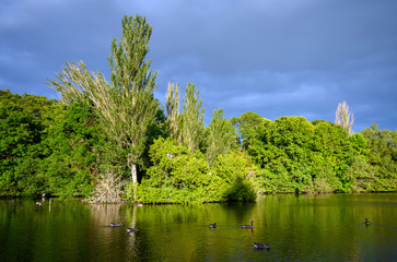 Fototapeta premium Kelsey Park, Beckenham, London with dramatic grey clouds. Geese are swimming on the lake in Kelsey Park, Beckenham, Kent. The trees and lake with reflections are illuminated by the late afternoon sun.
