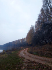 A narrow path in the autumn forest hides in the distance. 
Kharkiv, Ukraine