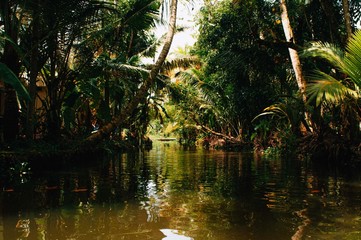 Exploring the backwaters of Kerala, India