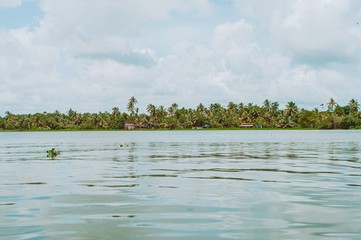 Backwaters in Kerala, India
