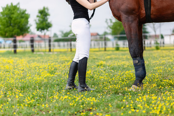 Horse and woman rider standing next to each other in the field of flowers, only legs visible, woman...