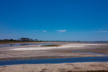 St. Marks National Wildlife Refuge Marshes