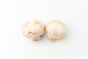 Button mushroom on white background