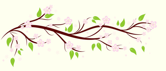 Sakura pattern background, Vector cherry blossom and branch, Hand drawn decorative, Flower backgrounds and wallpapers