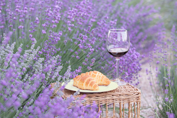 Wine and croissant against lavender landscape. Harvesting of aromatic lavender. A basket filled with fresh food stands at midlle of lavender field.