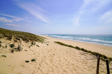 large dunes sandy beach in Le porge atlantic ocean coast France