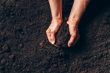 Agriculture, organic gardening, planting or ecology concept. Dirty woman hands holding moist soil....