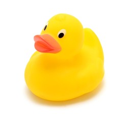 Yellow rubber toy duck over white background.