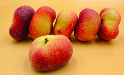 panoramic closeup of ripe fresh fruit  flat peaches in a row isolated with nobody