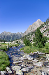 Fototapeta na wymiar Une rivière dans les Pyrénées