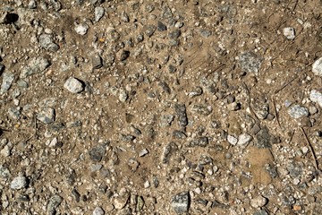 Stone. stone texture. View from above.
